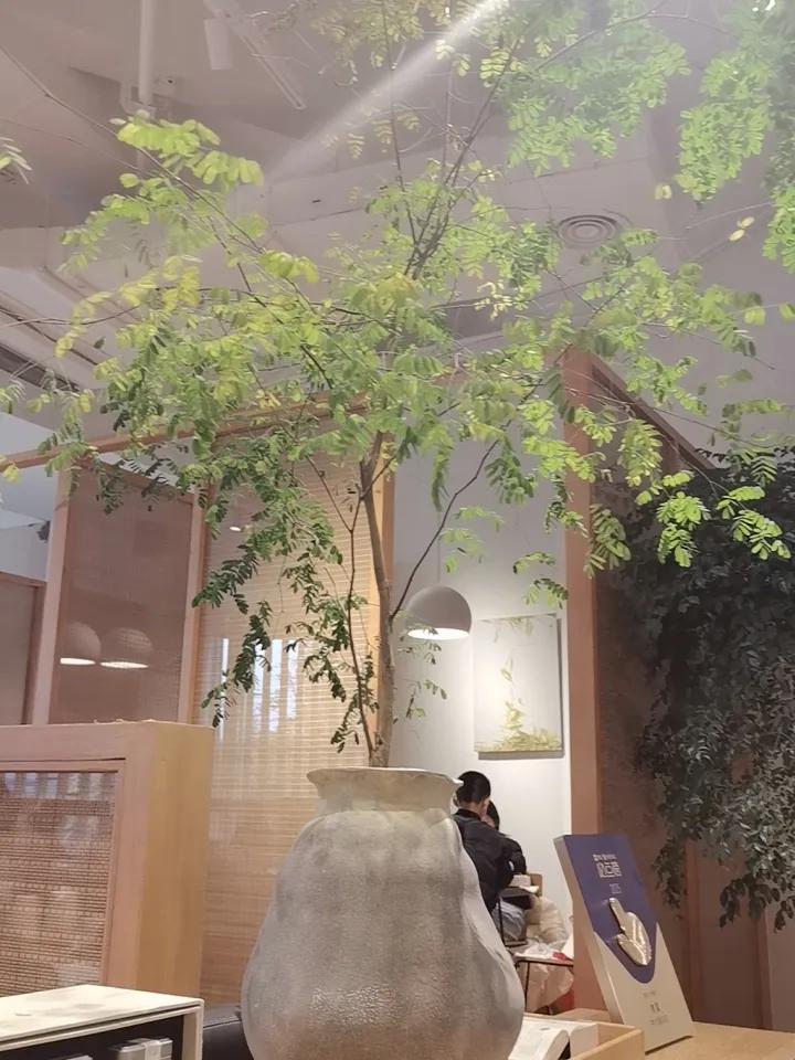 大女儿留下10000。
二女儿留下10000。
儿子没有给，我给了他也10000