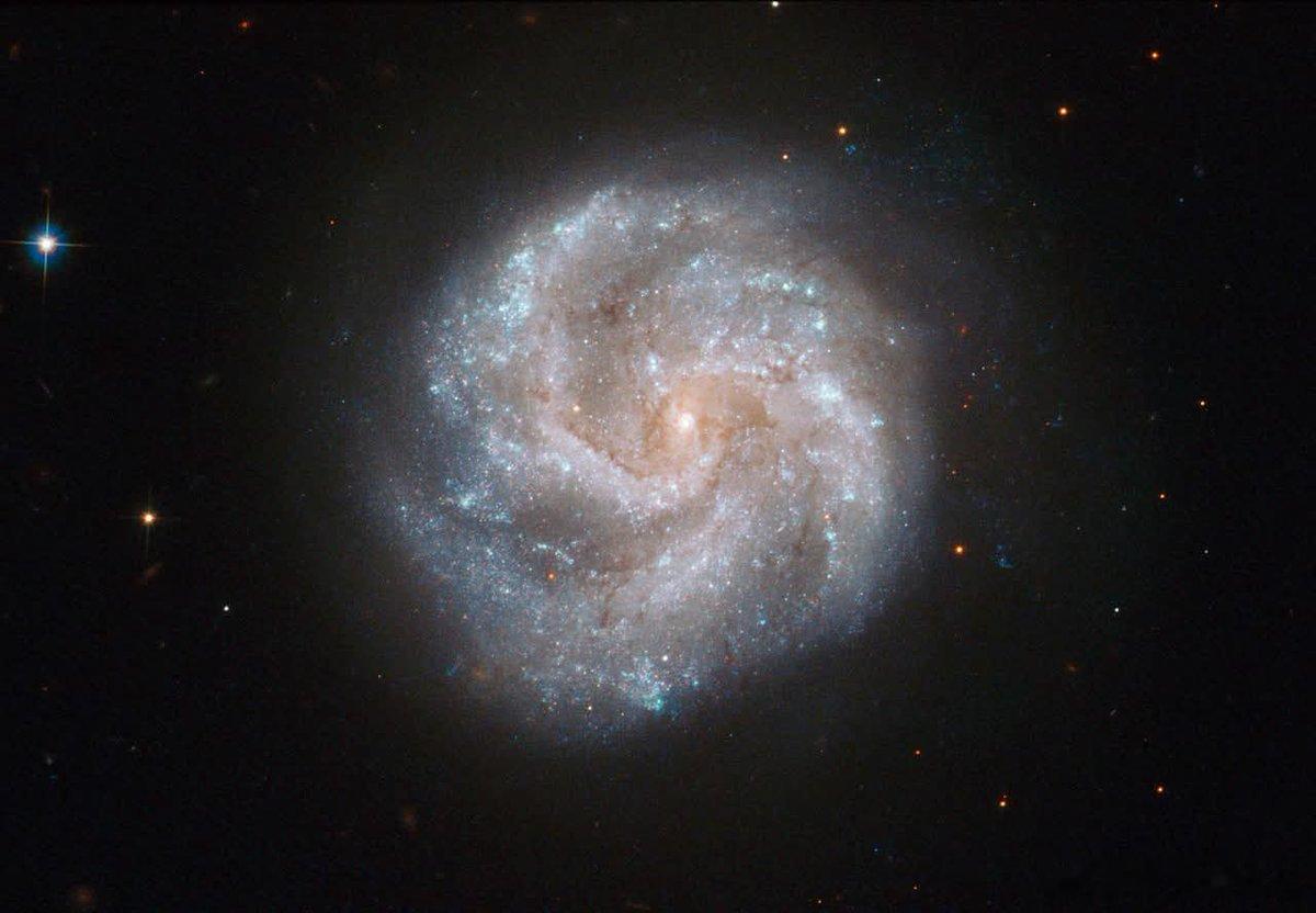 永不眠的星城！！在我们宁静的恒星社区遥远之外，8000万光年远，在北部骆驼座（C