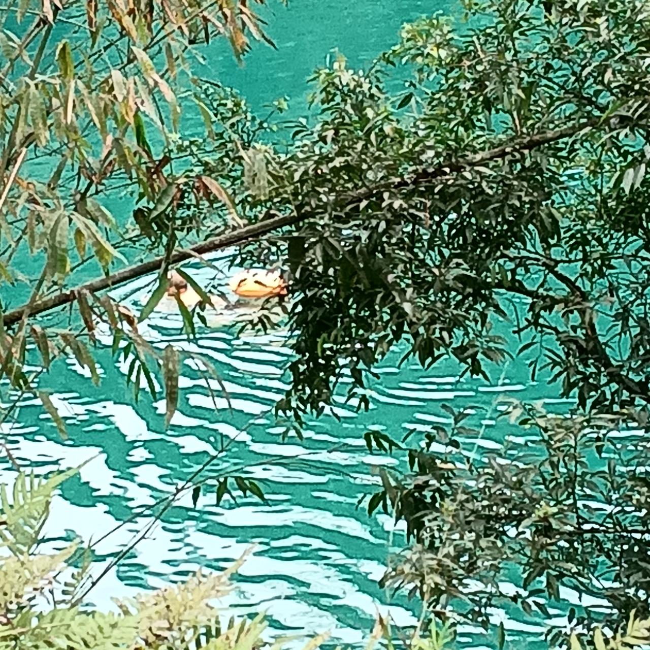 巴马实时温度十四度
盘阳河游泳正当时

这几天巴马的温度开始回升，今天最高温度1