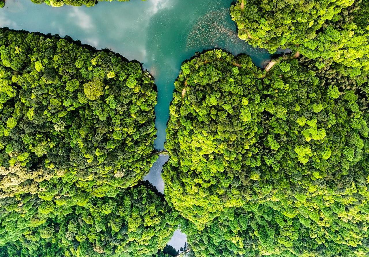 衡阳文旅重大喜讯！将再添国家4A级景区新名片
湖南四明山全力冲刺国家4A级景区，