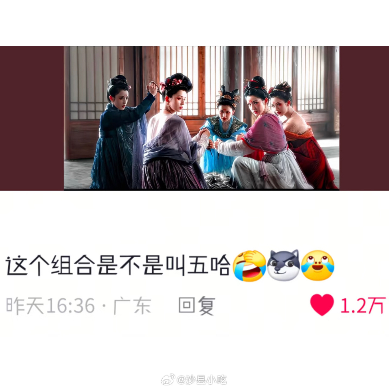哈尼克孜这个组合是不是叫五哈[开学季]哈妮克孜演技 ​​​