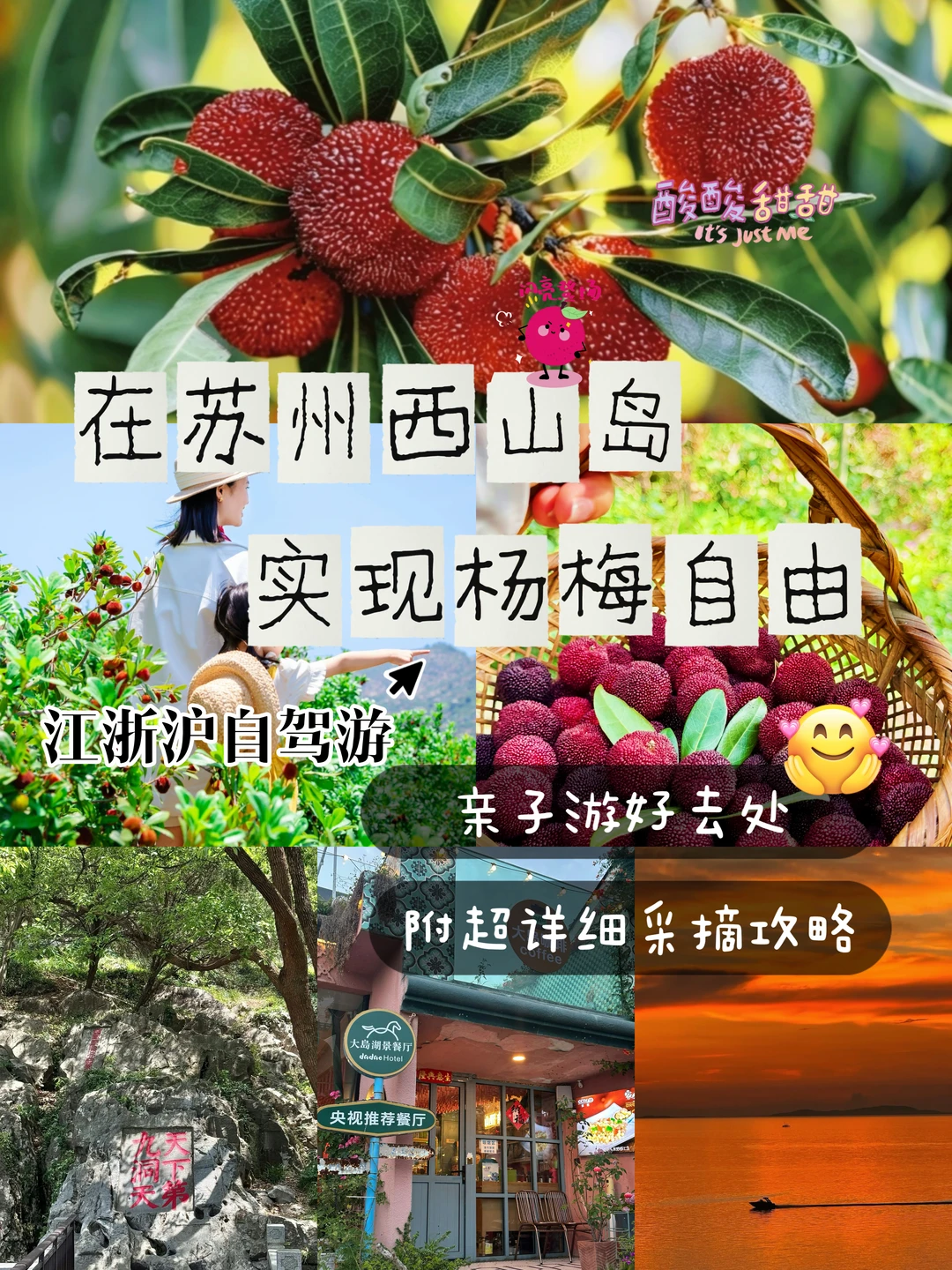 夏日亲子出游🍃西山岛杨梅采摘游玩攻略
