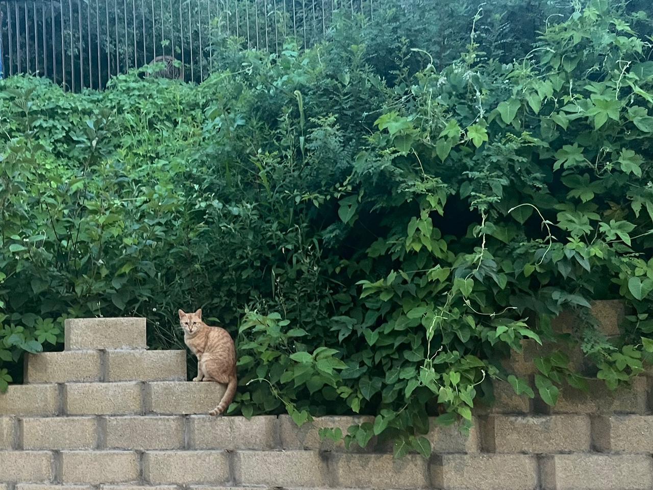 今日进入7月，多学习咱中华民族文化，圣贤的智慧，有德有品。

七月愿我们能有始料
