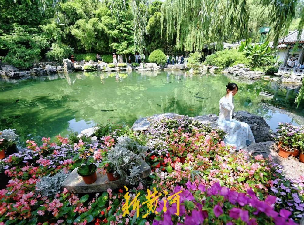 鲜花映清泉，无忧泉尽显泉城初夏风情！5月21日，初夏时节，趵突泉公园内绿意盎然、