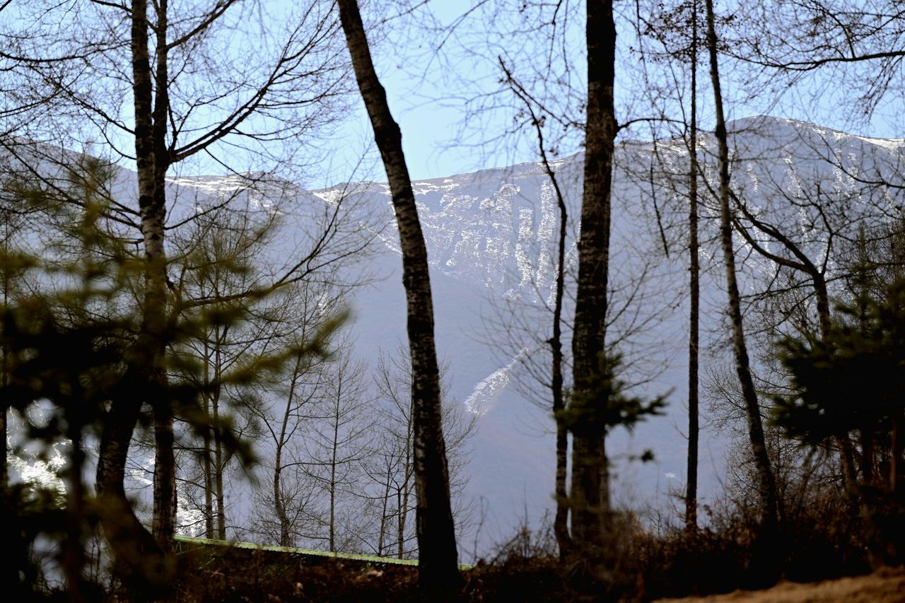 高山残雪，还凝着一冬的清冷，在暖阳里慢慢消融。它曾覆盖万仞，如今只剩点点斑驳，像