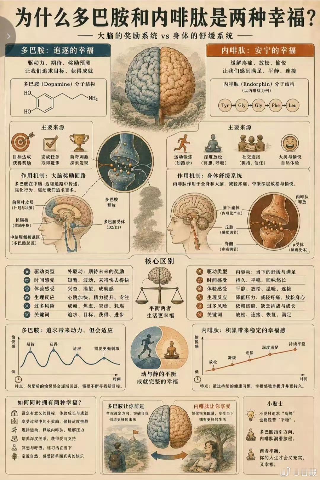 为什么多巴胺和内啡肽是两种幸福 