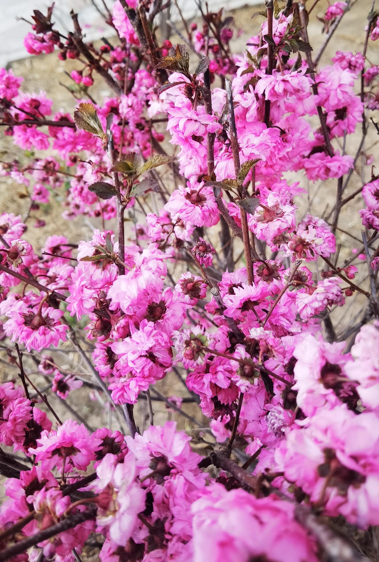 你的人生有没有抽中上上签的可能? 
当人哇哇大哭来到人间，都希望人生能抽到上上签