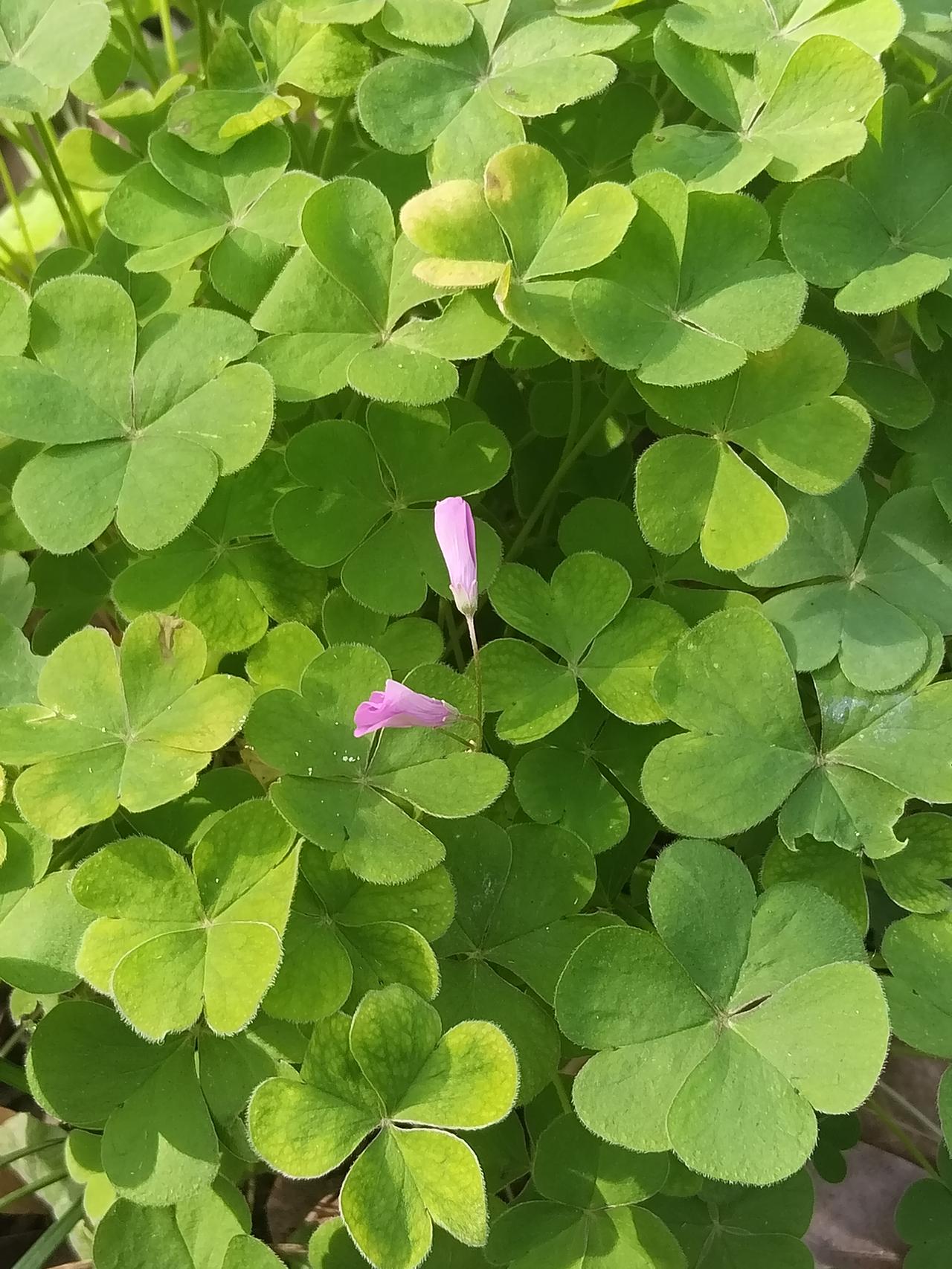 真正的老板还是干老板的事[捂脸]那是骨子里的东西  首先他的思想行为是比较完整的