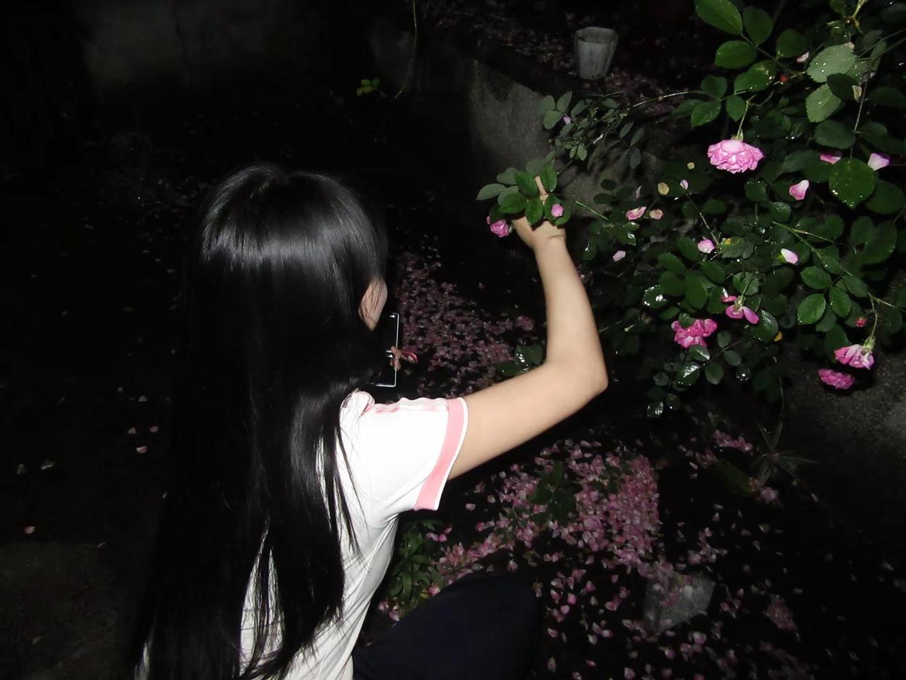 突然翻到四月份宿舍楼下拍的照片🌸  夏天 少女心事 校园蔷薇