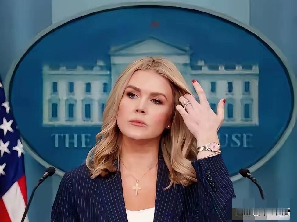 对付流氓，就得用流氓的办法
4月22日，就在全世界都为伊朗捏一把汗之时，伊朗革命