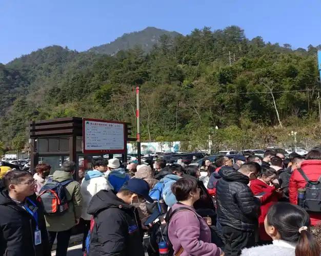 “都怪我妈没文化！”儿子对着镜头抱怨，眼里全是委屈。

这话一出，评论区瞬间吵成