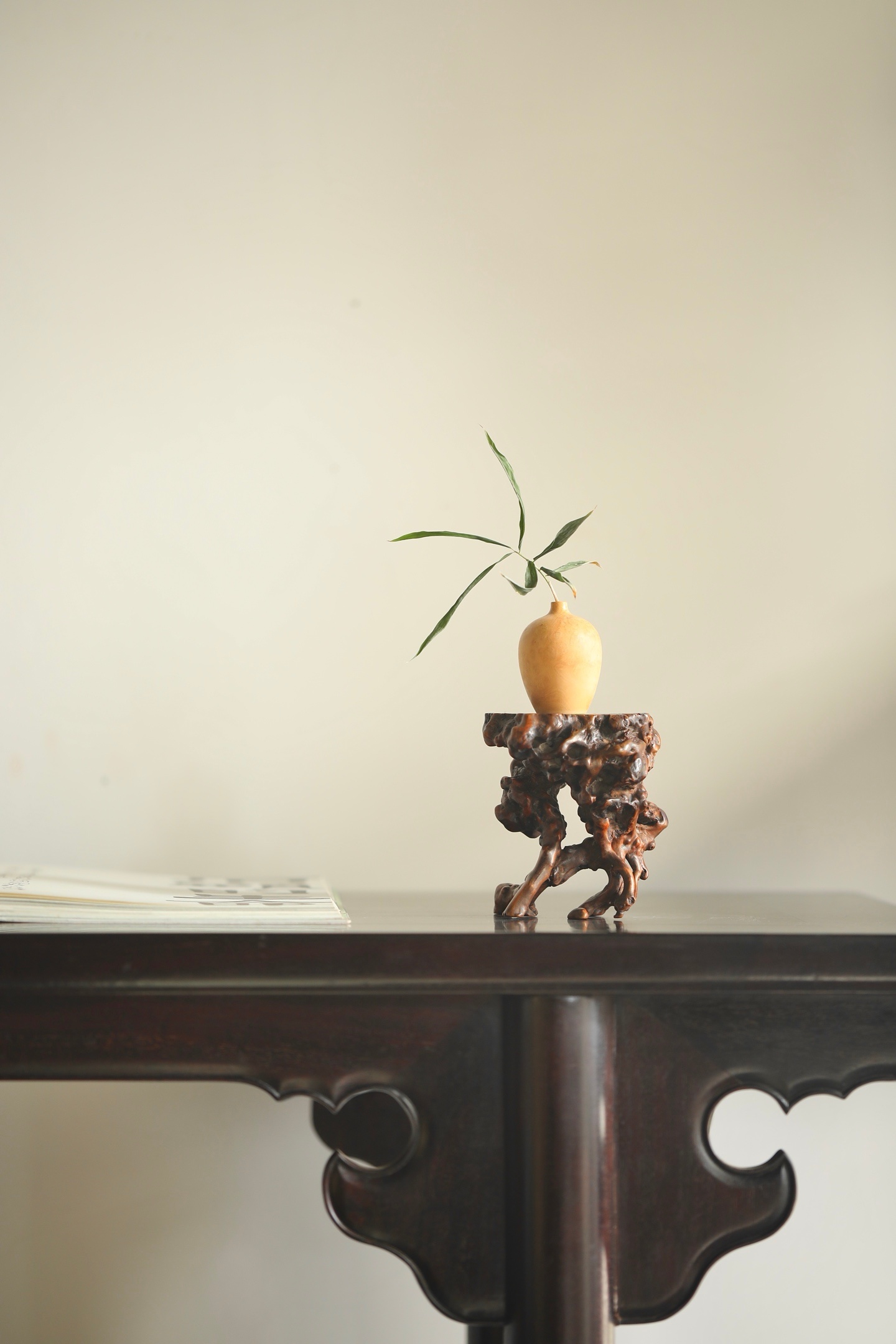 奇木 | 根几老木盘根，化作案头几架，皴皱的纹理是时光刻下的脉络，弯折的枝桠藏着