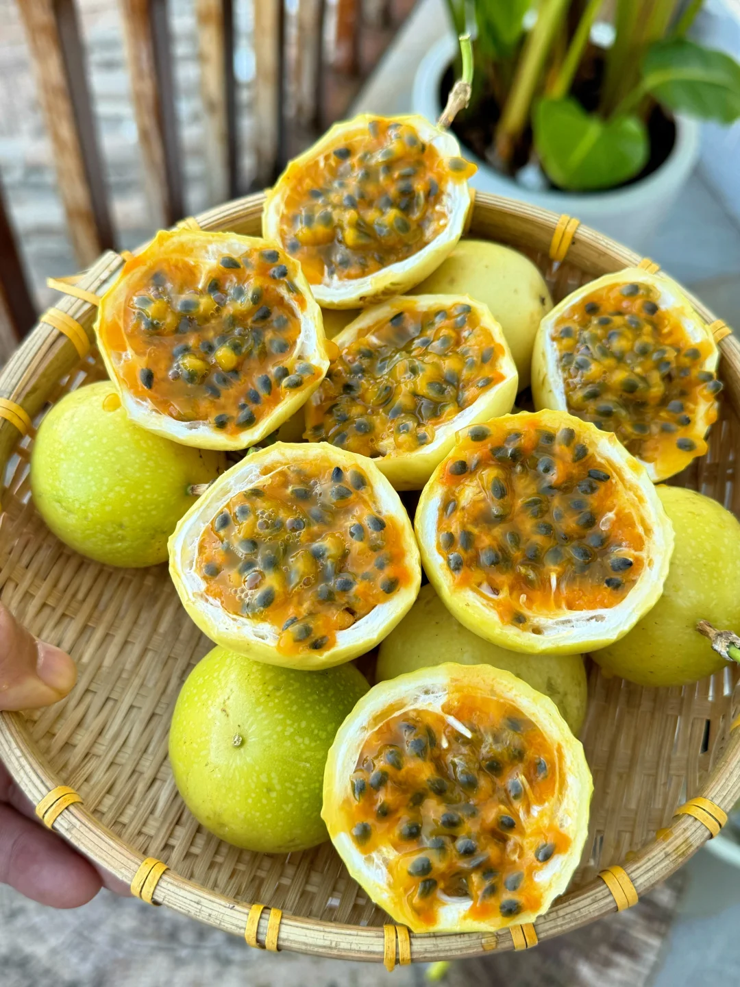 全网疯抢的钦蜜9号！一口甜到心巴上。