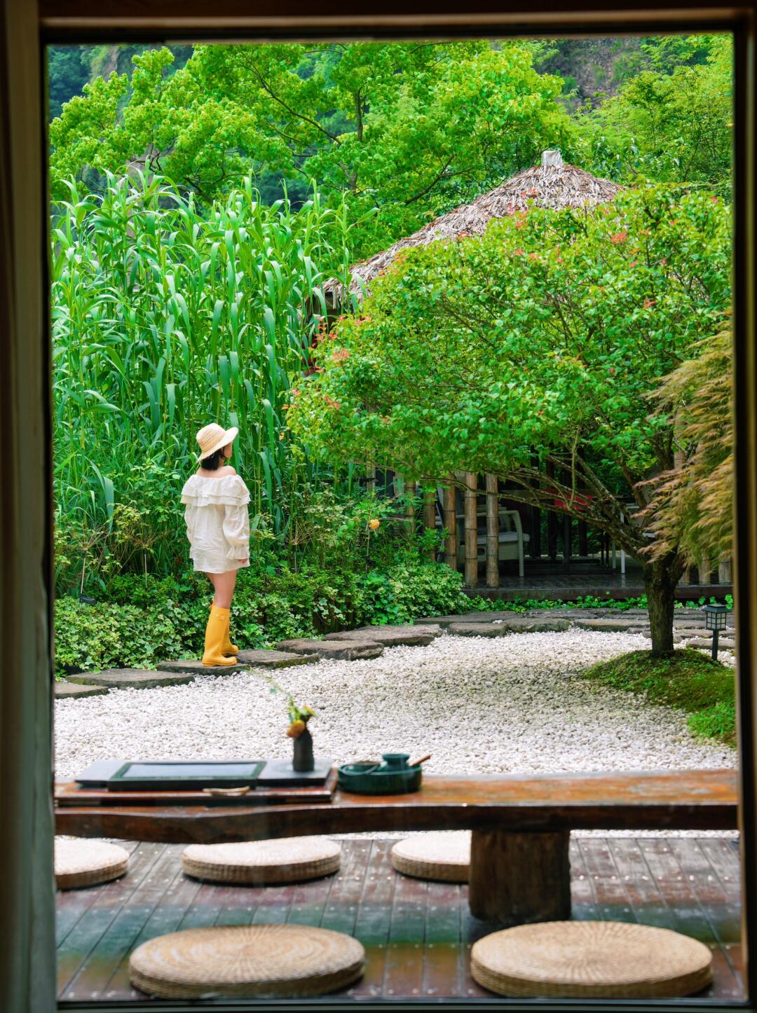 绍兴｜山里越来越绿意盎然了……