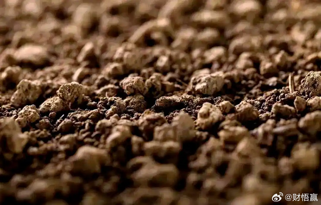 钨价疯涨400%！这把"工业牙齿"正在啃掉谁的饭碗？  当钨精矿价格一天暴涨6万