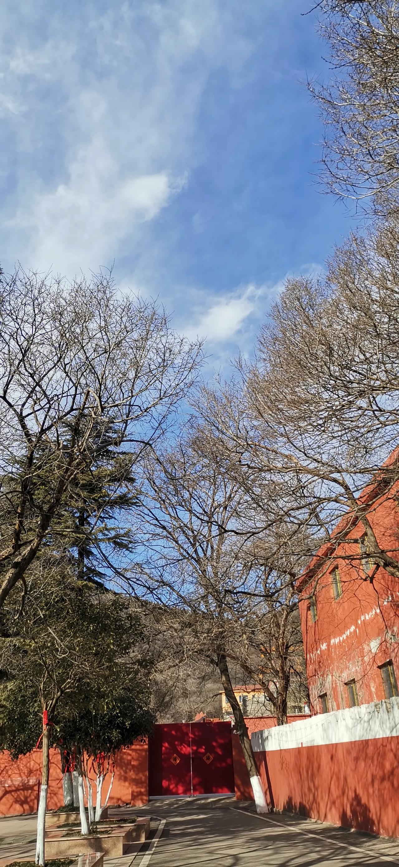 今日打卡随手一拍