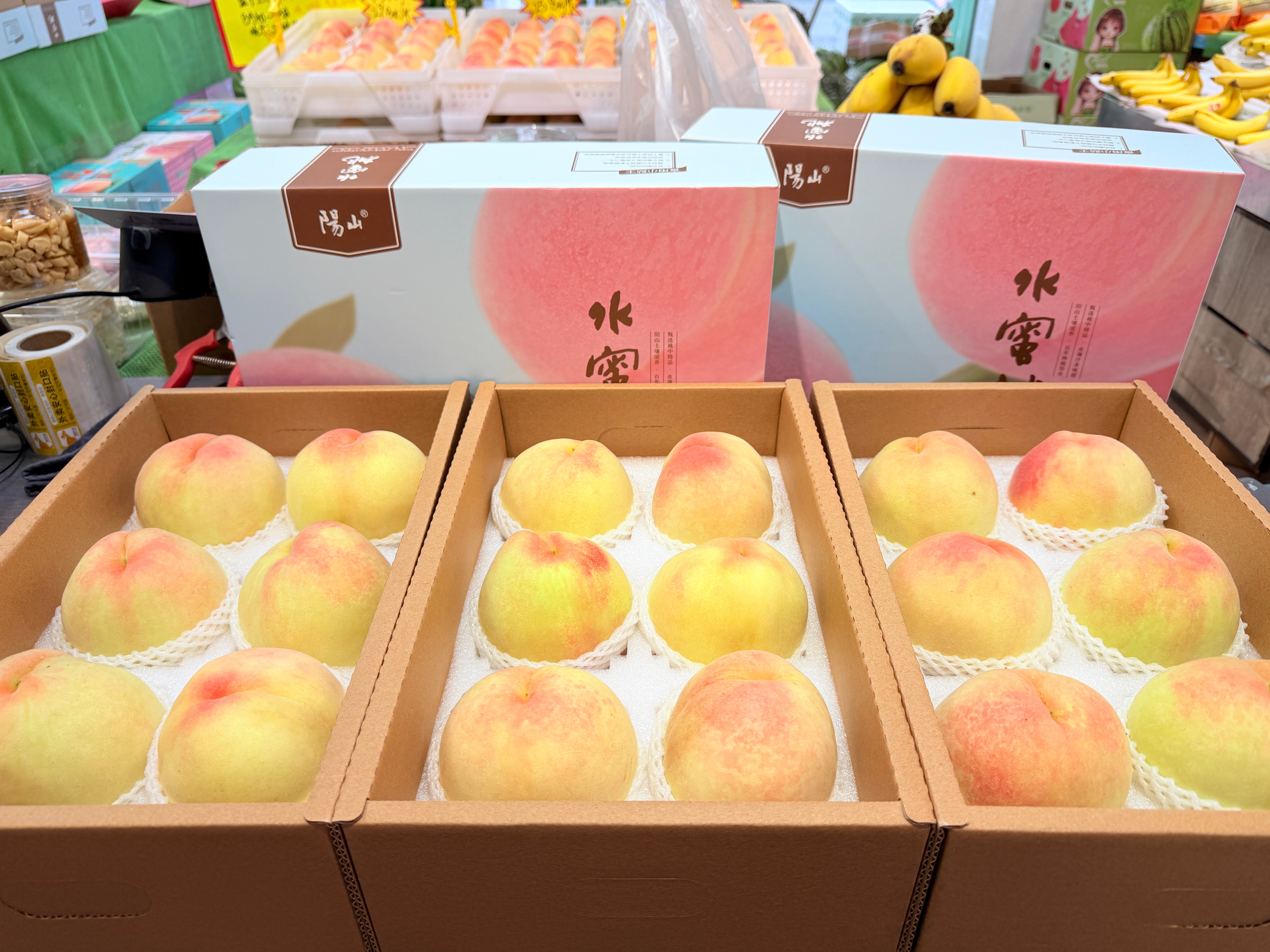 来无锡一定不要错过鲜甜软糯的阳山水蜜桃🍑欢迎大家前来品尝！ 