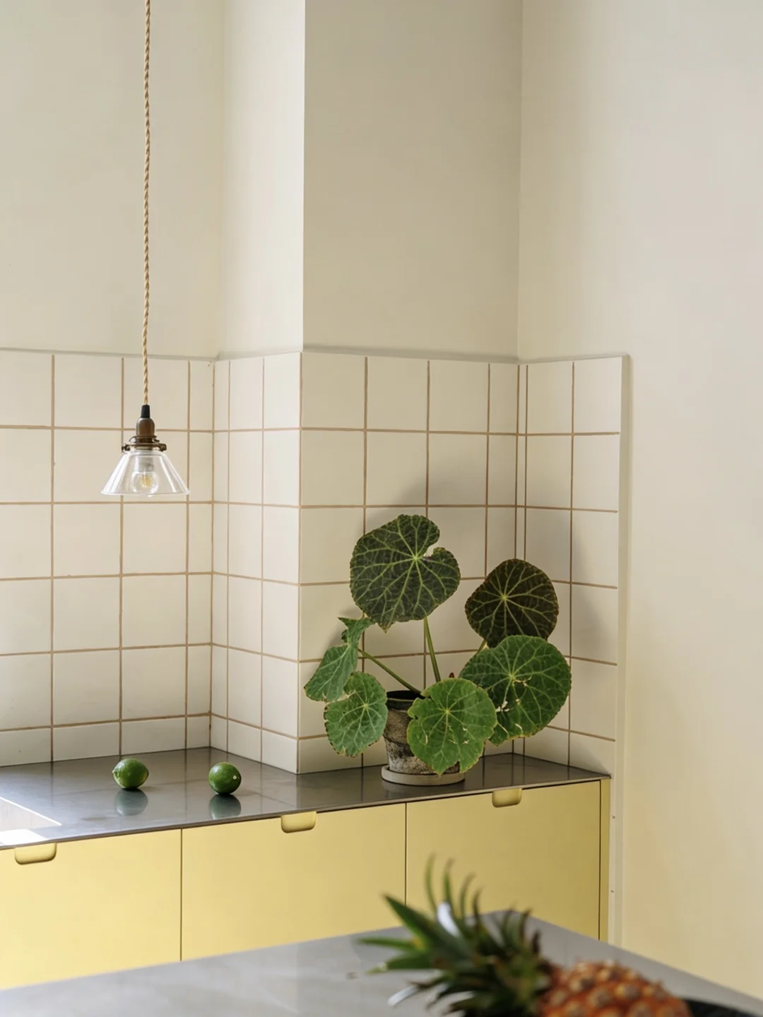 家的舒适自然满分·好治愈🍃