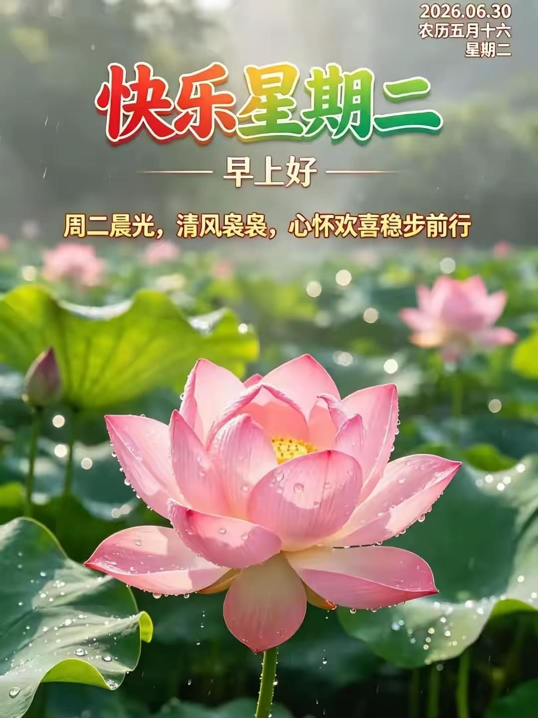 6.30日🌹🍎🍎早上好♥️😄🌹
夏天的早晨送您美好的祝福：平安健康、幸