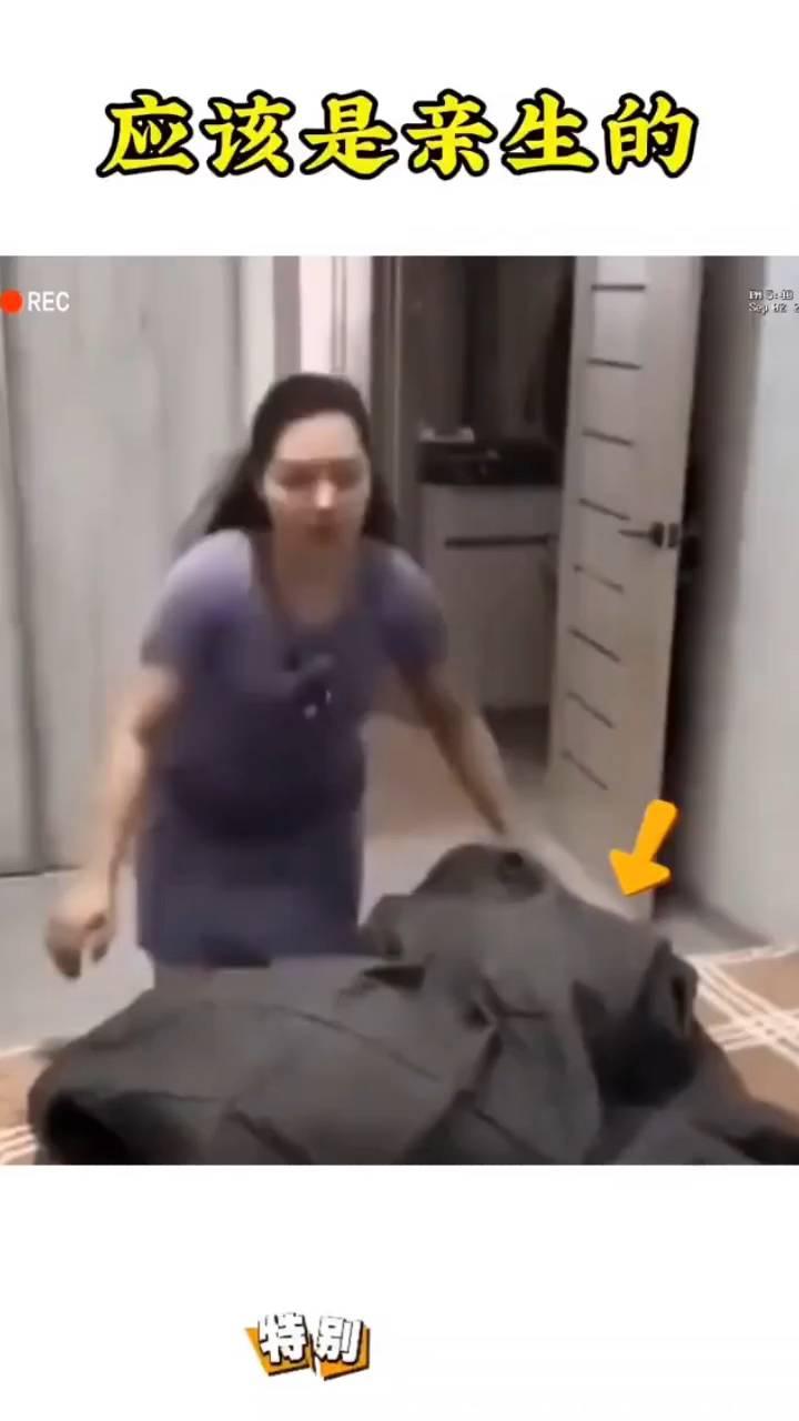 应该是亲生的，特别推荐。