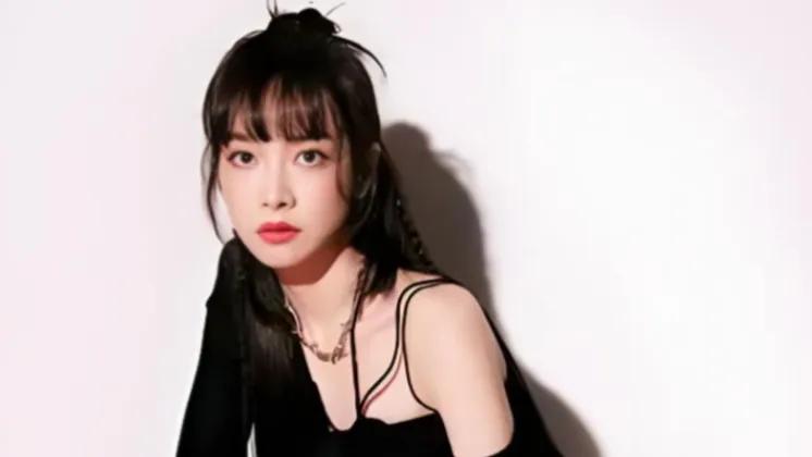 宋茜片酬之谜：职场剧女王，古装剧为何“降价”？

在影视圈中，宋茜以其独特的魅力