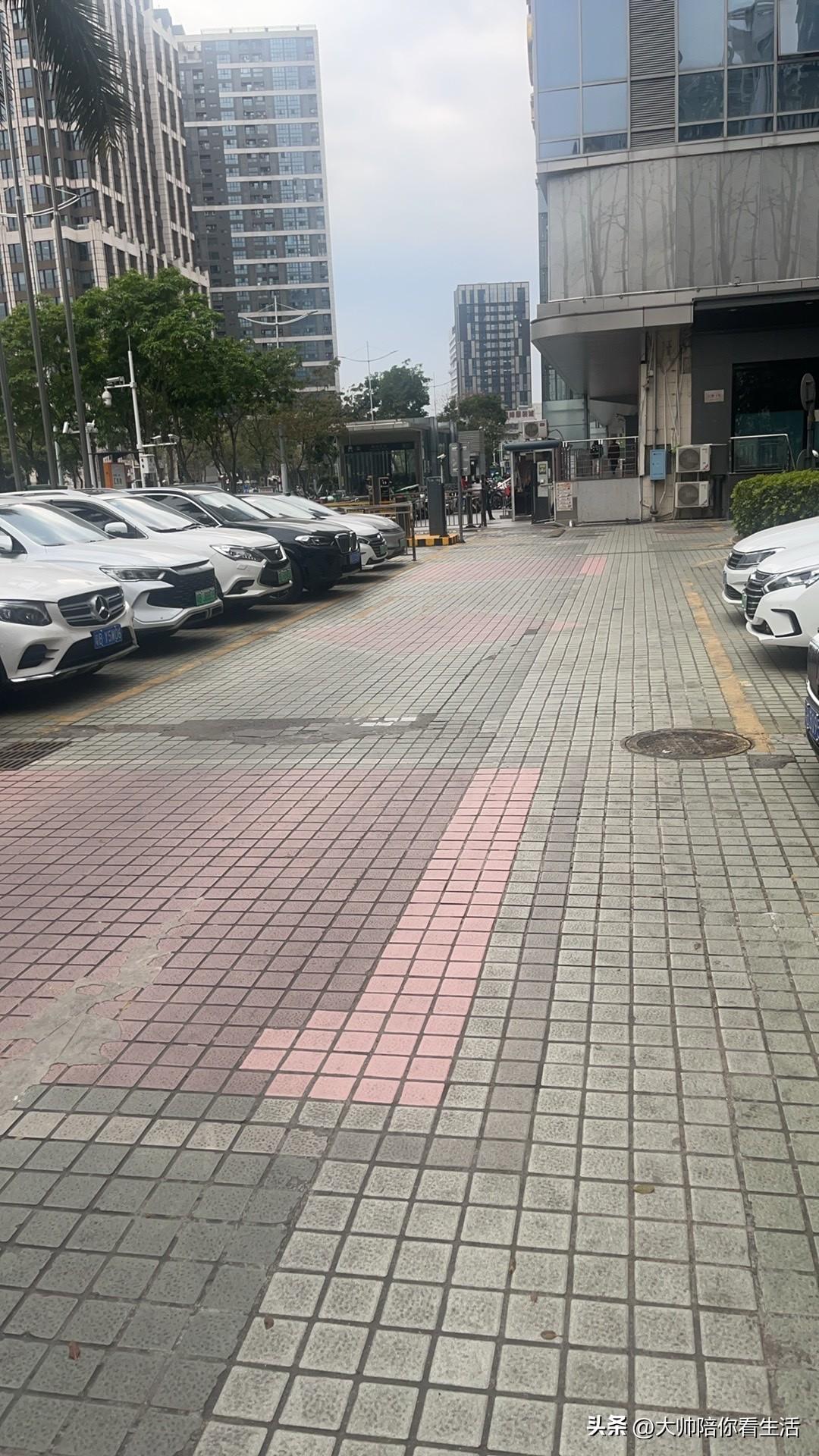 活着，就是用尽全力对抗混乱、守住秩序，在有限时光里复制热爱、适应风雨🌱

生命