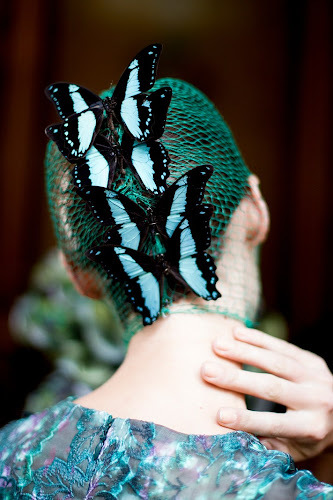 Zuhair Murad Couture Fall 2026 Details蝴蝶