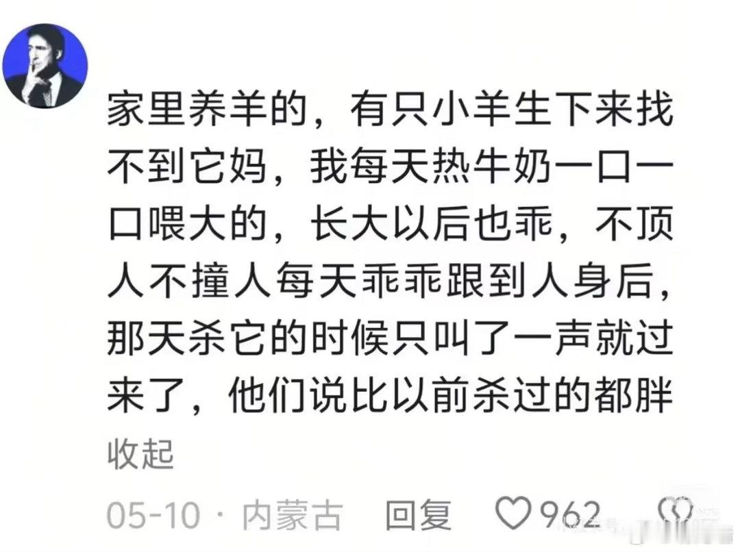 升起一丝别样情绪，好喜欢畜牧业小故事 ​​​