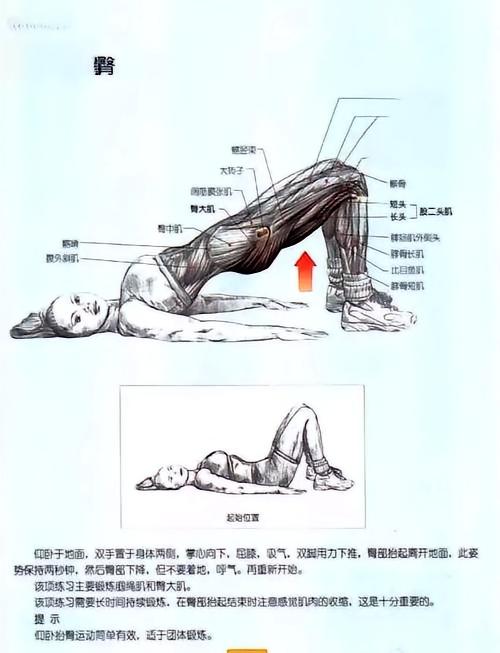 睡前做臀桥，好处多到超乎想象！别小看这个简单动作，它能刺激臀部、腿部和核心肌群。