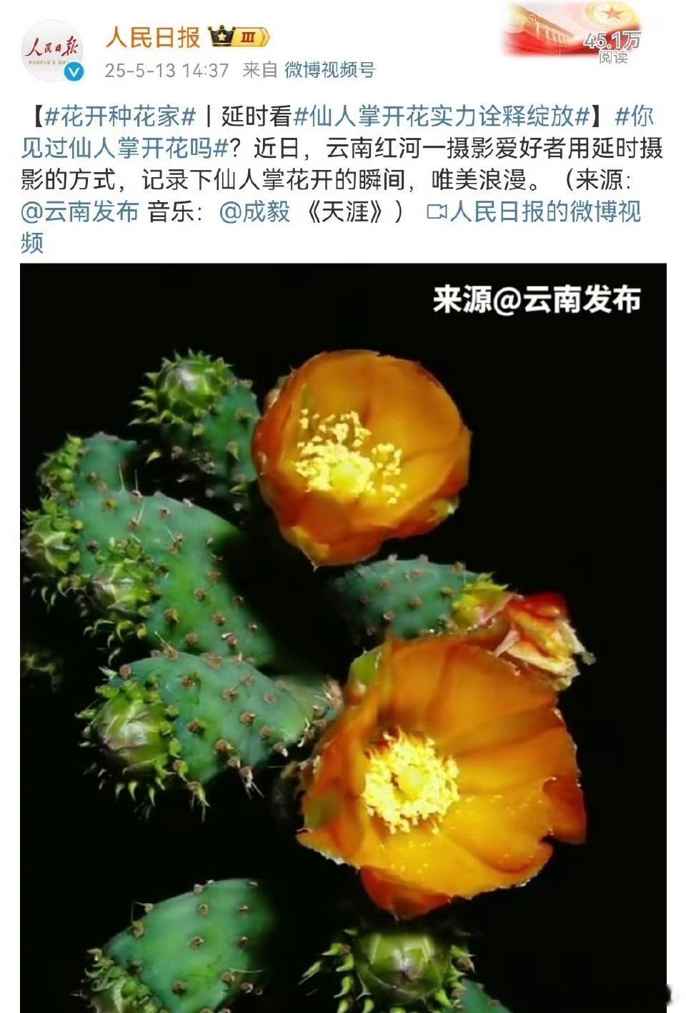 有效出圈🔥人民日报发了成毅唱的歌[送花花] ​​​