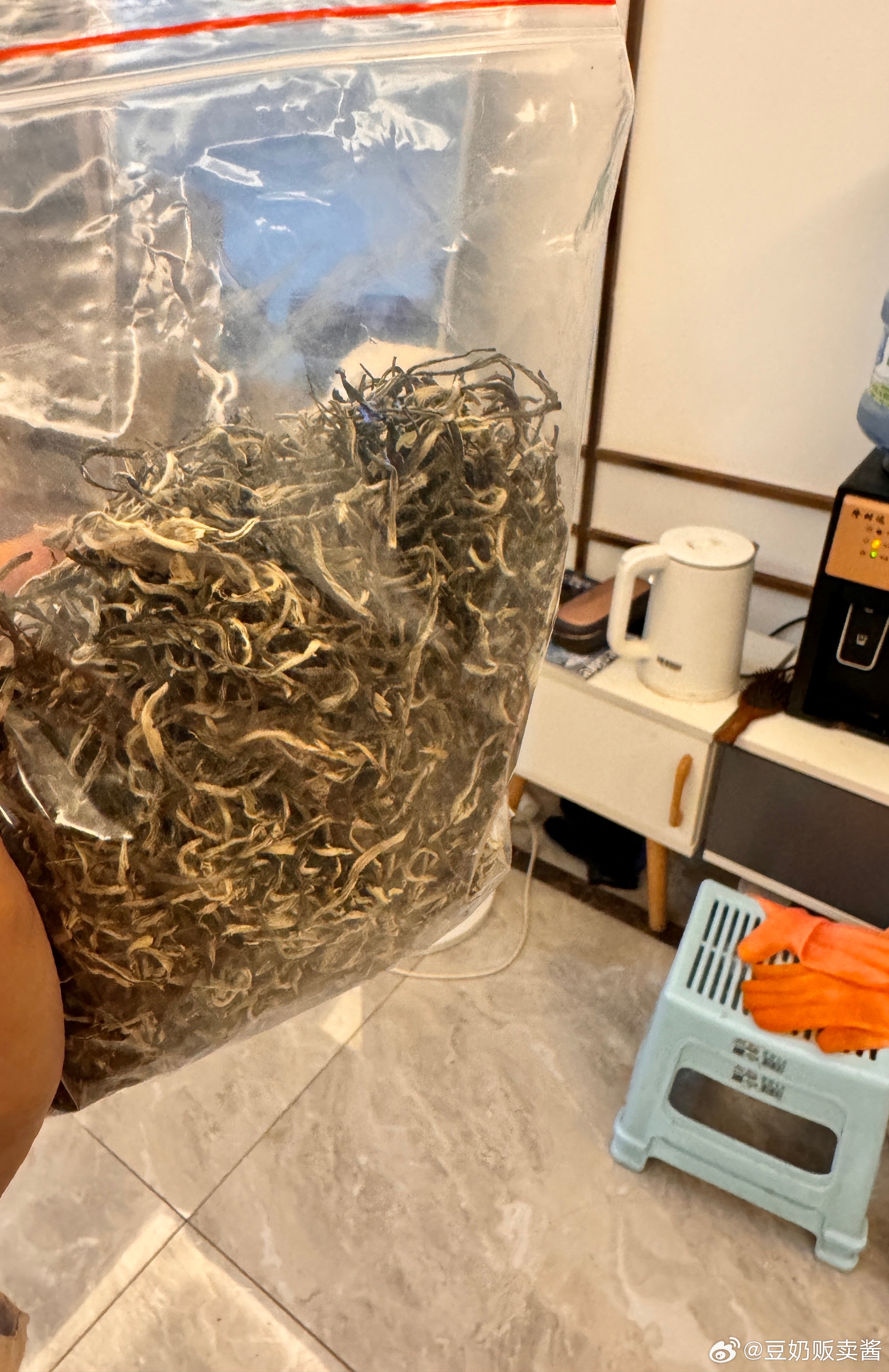 跟你们科普一下茶约细揉搓越好，或者是越嫩有发白的就是茶尖，茶的芽包产量低来自小时