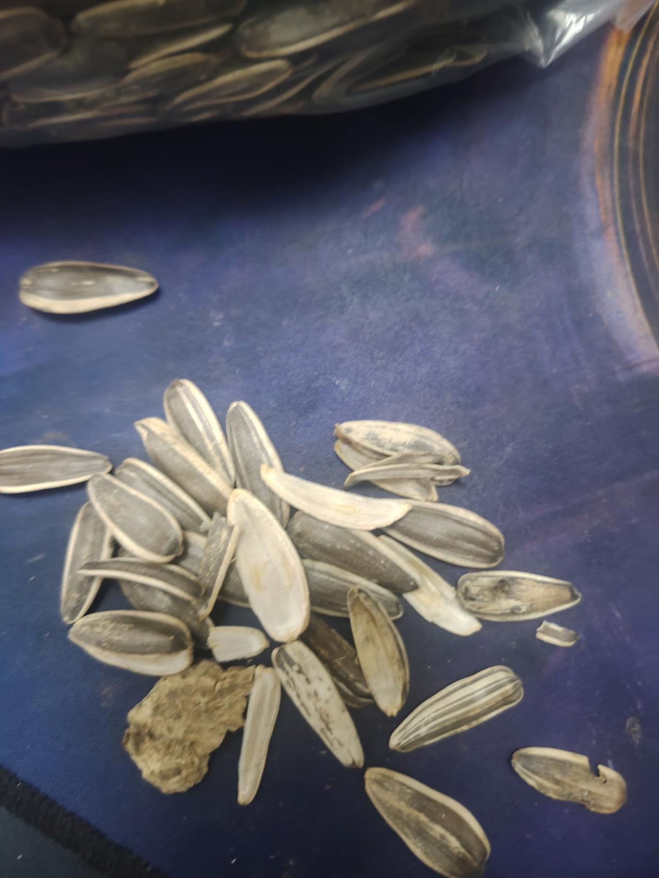 这质量怎么样[笑哭][笑哭][笑哭]