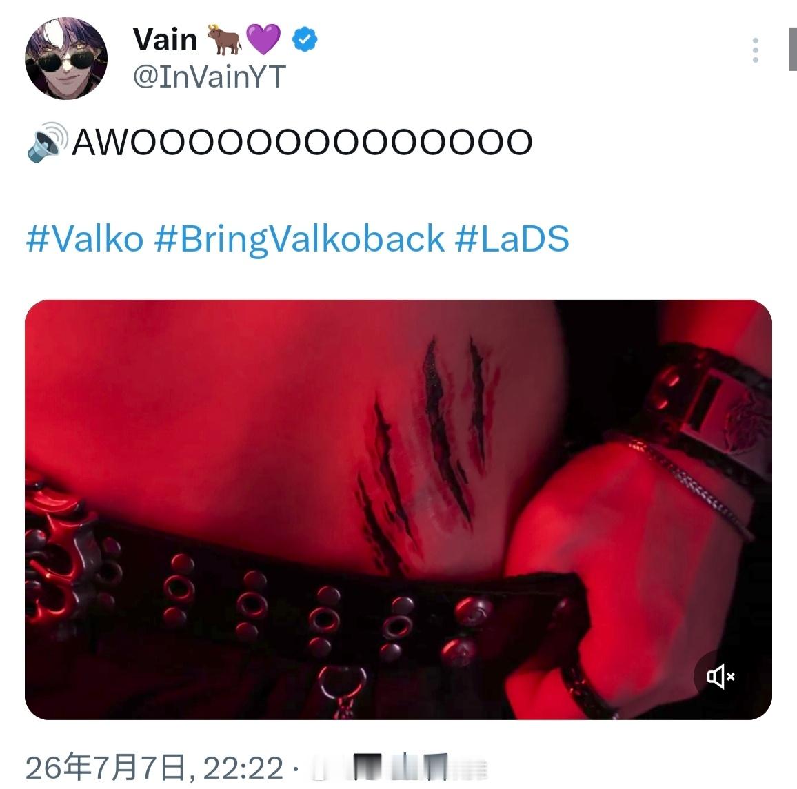 7️⃣0️⃣0️⃣2️⃣【vain】一头牛蹭一只放生的狼的热度也是很好笑了 