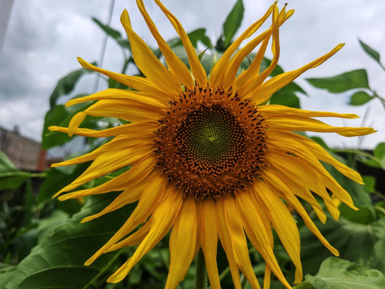 钓鱼佬永不空军