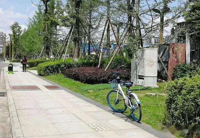 看到一并不漂亮的女生骑完车随意的停在了马路口上，本想说个几句提醒放好，后来还是忍