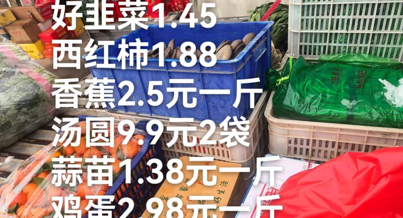 当天视频当天看正月十四