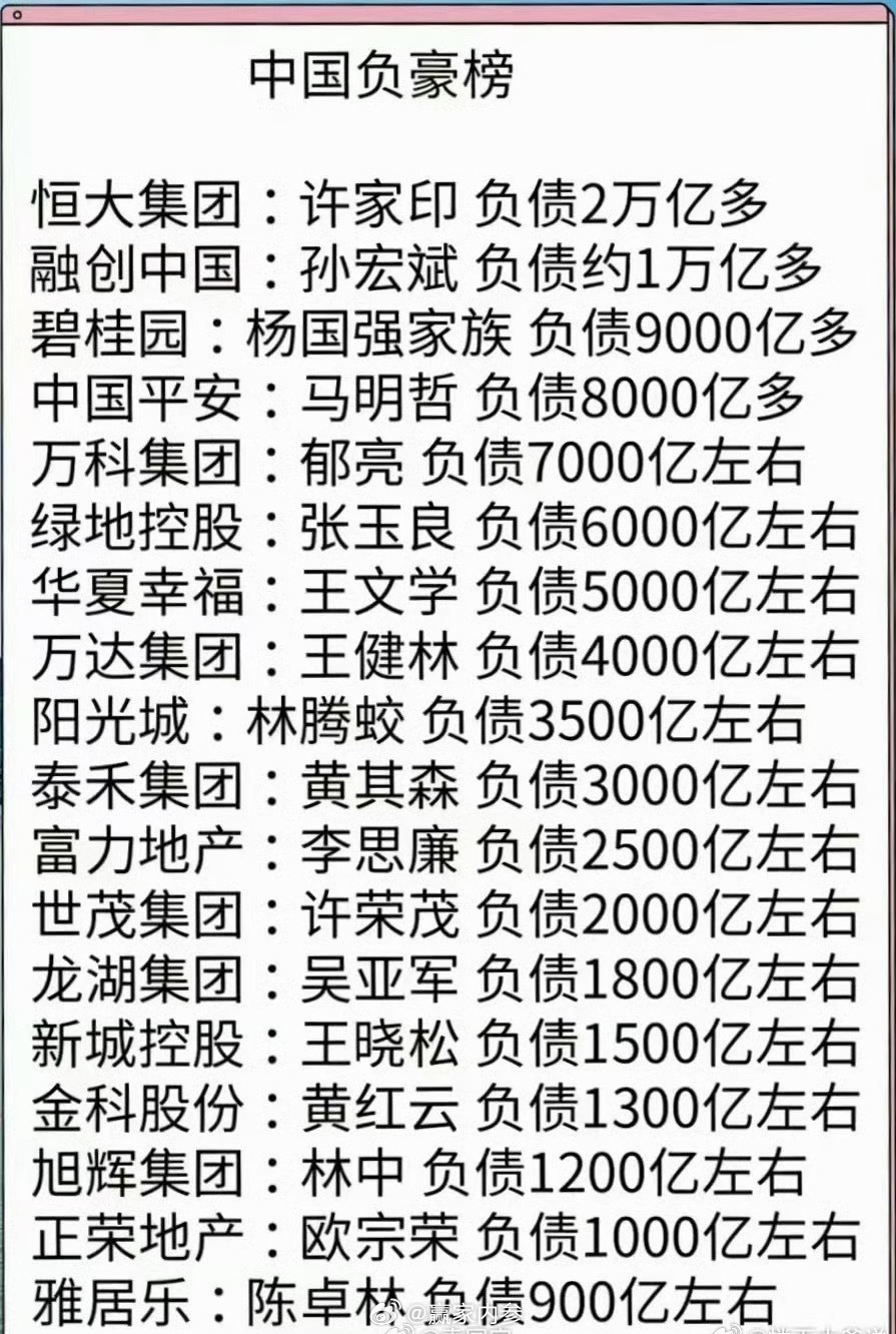 中国负豪榜 ​​​