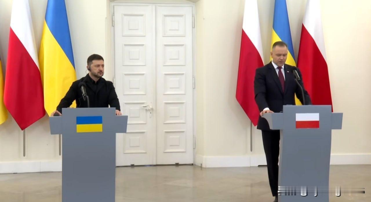 ❗️🇺🇦🇵🇱“我们知道如何应对俄罗斯拥有的所有类型的无人机”：乌克兰总统