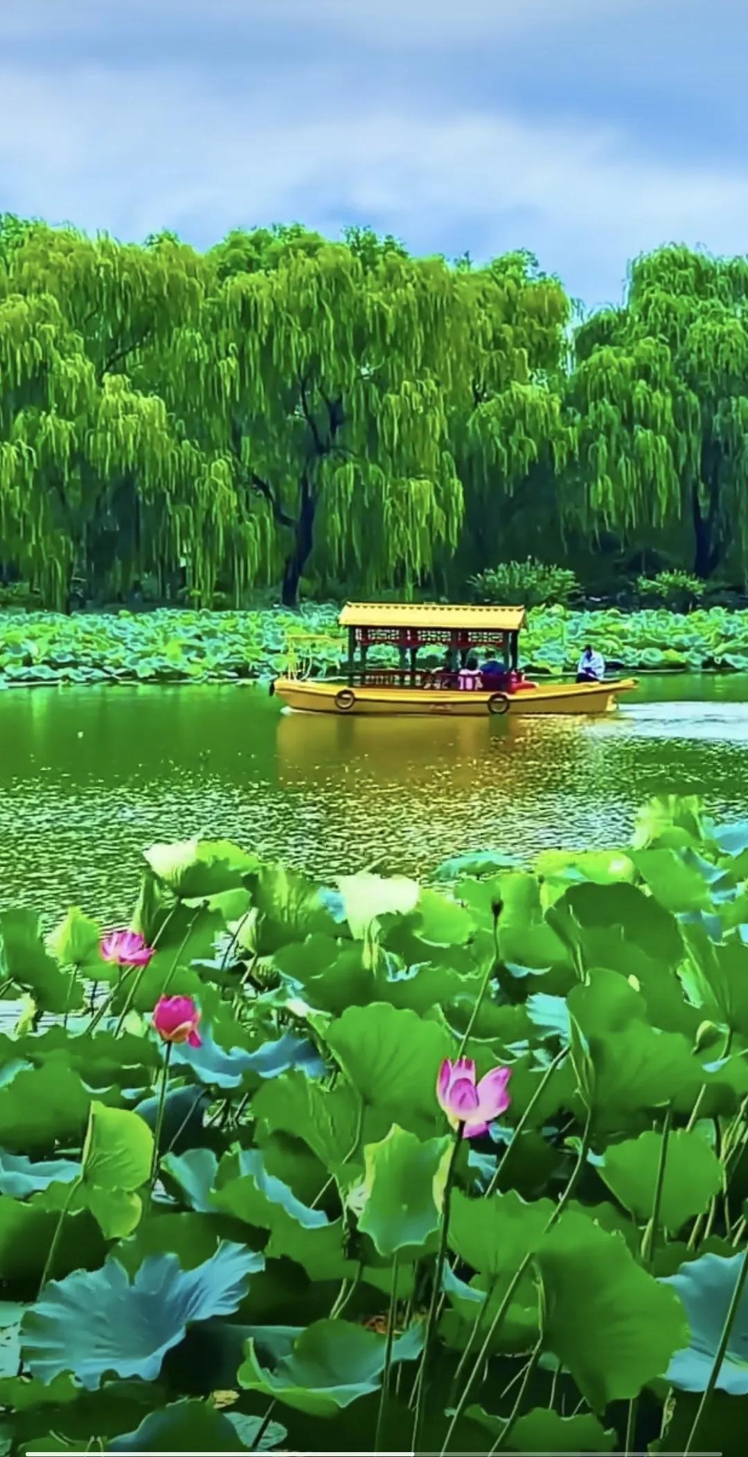 用秋天的斜阳点缀你的风景，用秋天的菊花装饰你的生活，用秋天的清风凉爽你的心情，用