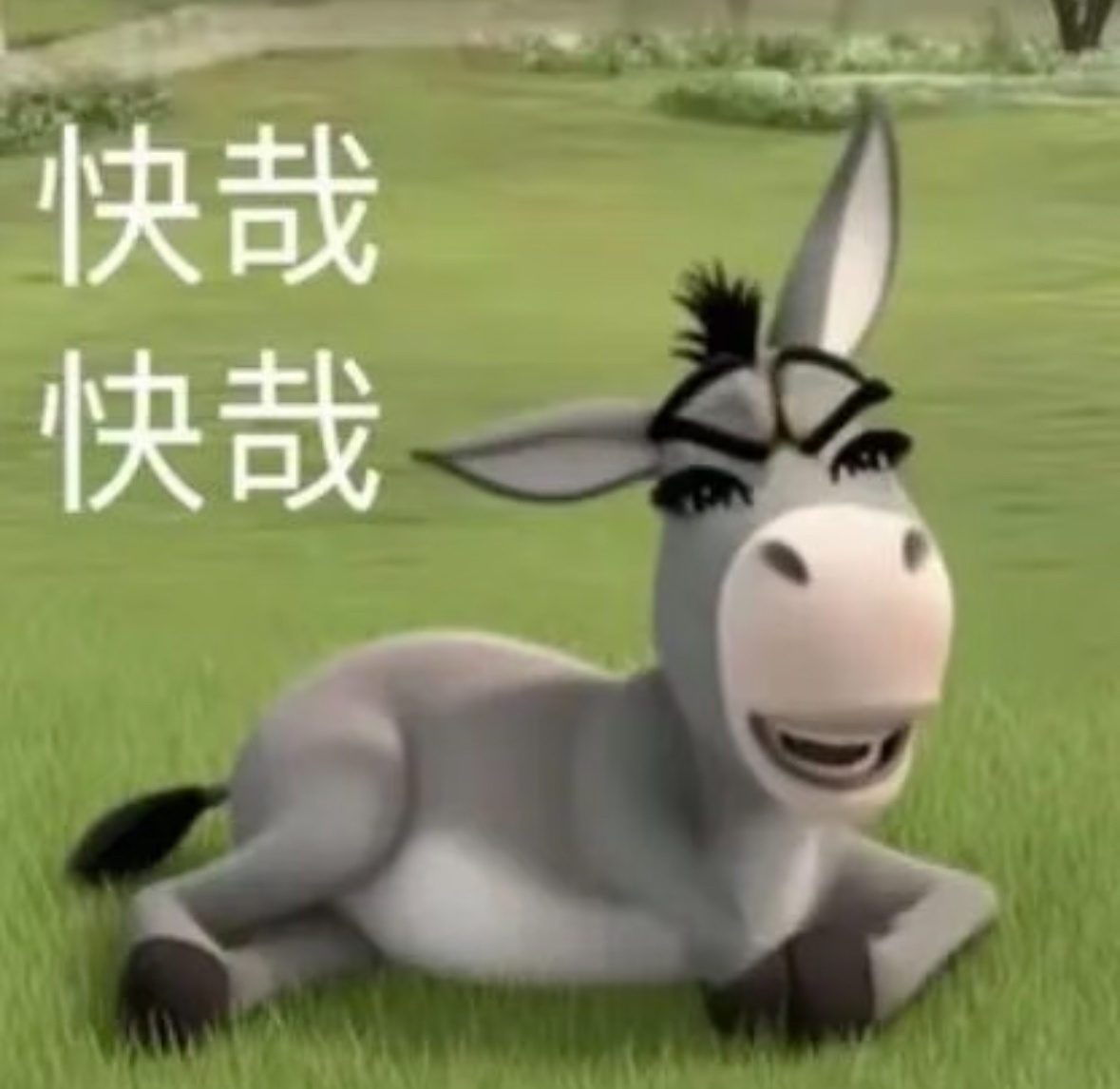 夏以昼只知道要啥都没有，“大考”还失败的格格巫真的很可怜祁煜 男神好帅 
