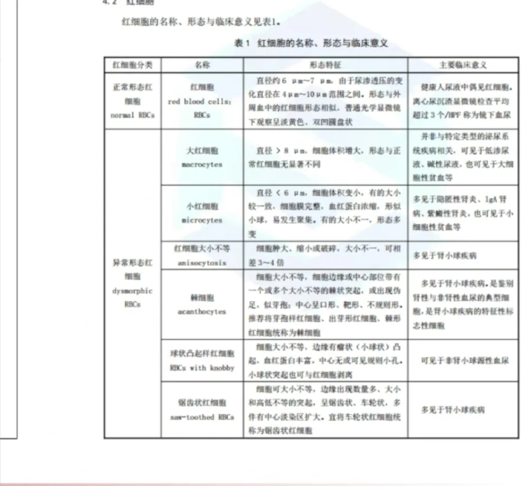 尿液红细胞形态专家共识