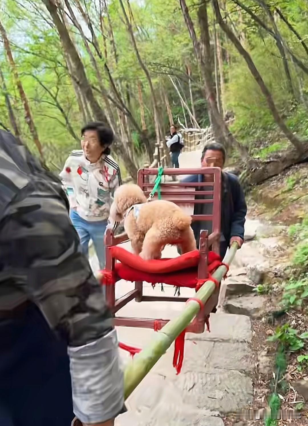 闹麻了！近日有博主在景区游玩时拍到的一幕，让无数网友吵翻了天！
事情是这样的，博