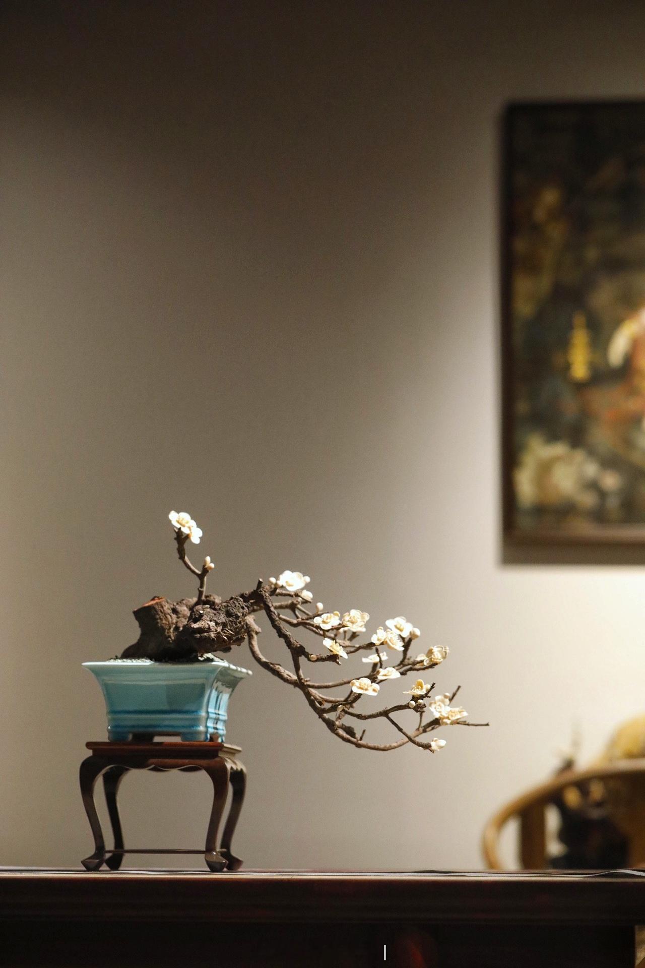 枯木×猛犸｜“咏梅”盆景取枯木之虬枝为骨，嵌猛犸之质塑梅魂，老干蜿蜒苍劲，梅朵冰