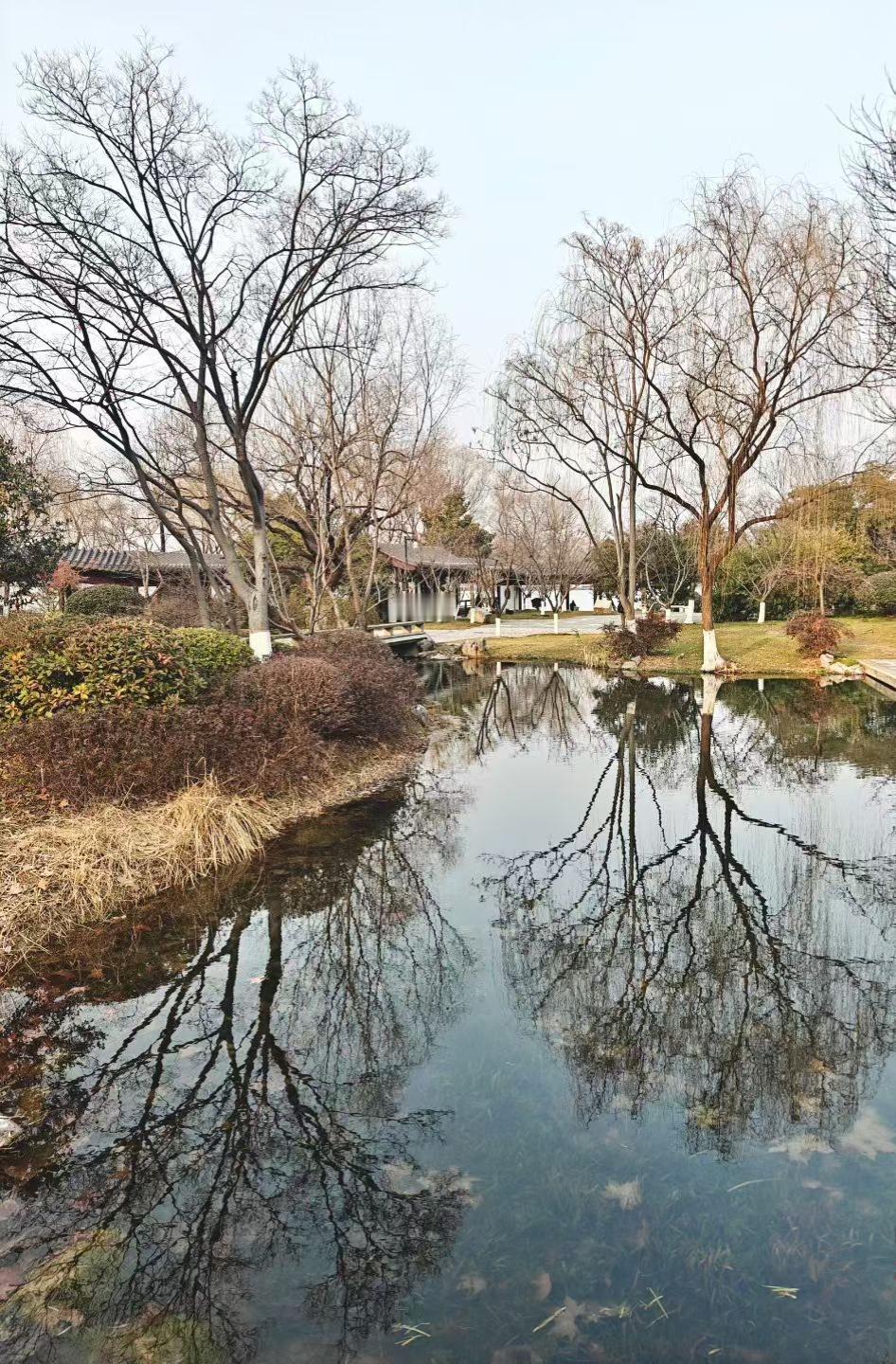 枯树把枝桠拓进水里，湖水盛着半透明的冬，岸边枯草与亭阁对坐，像在共品，这盏名为“