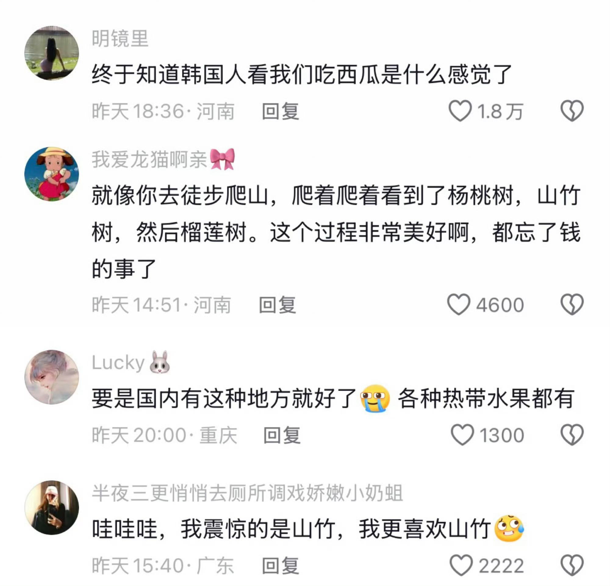 终于懂韩国人看我们吃西瓜的感觉了哇塞好多水果啊 这是在哪里