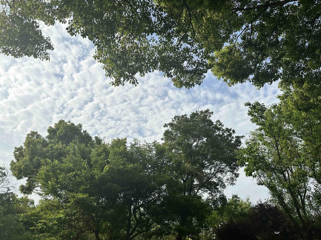 大家有没感觉到，现在的小孩说话挺“毒”的。

今天带孩子出去玩，停下来休息的时候