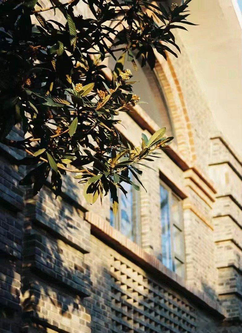 “操场上的风，和他的眼神成为我的整个夏天🍃”36岁的校园控表演一个18岁重回大