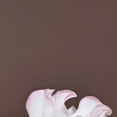 0000不必急于追赶别人的脚步，按照自己的节奏慢慢走。那些默默付出的努力，终会在