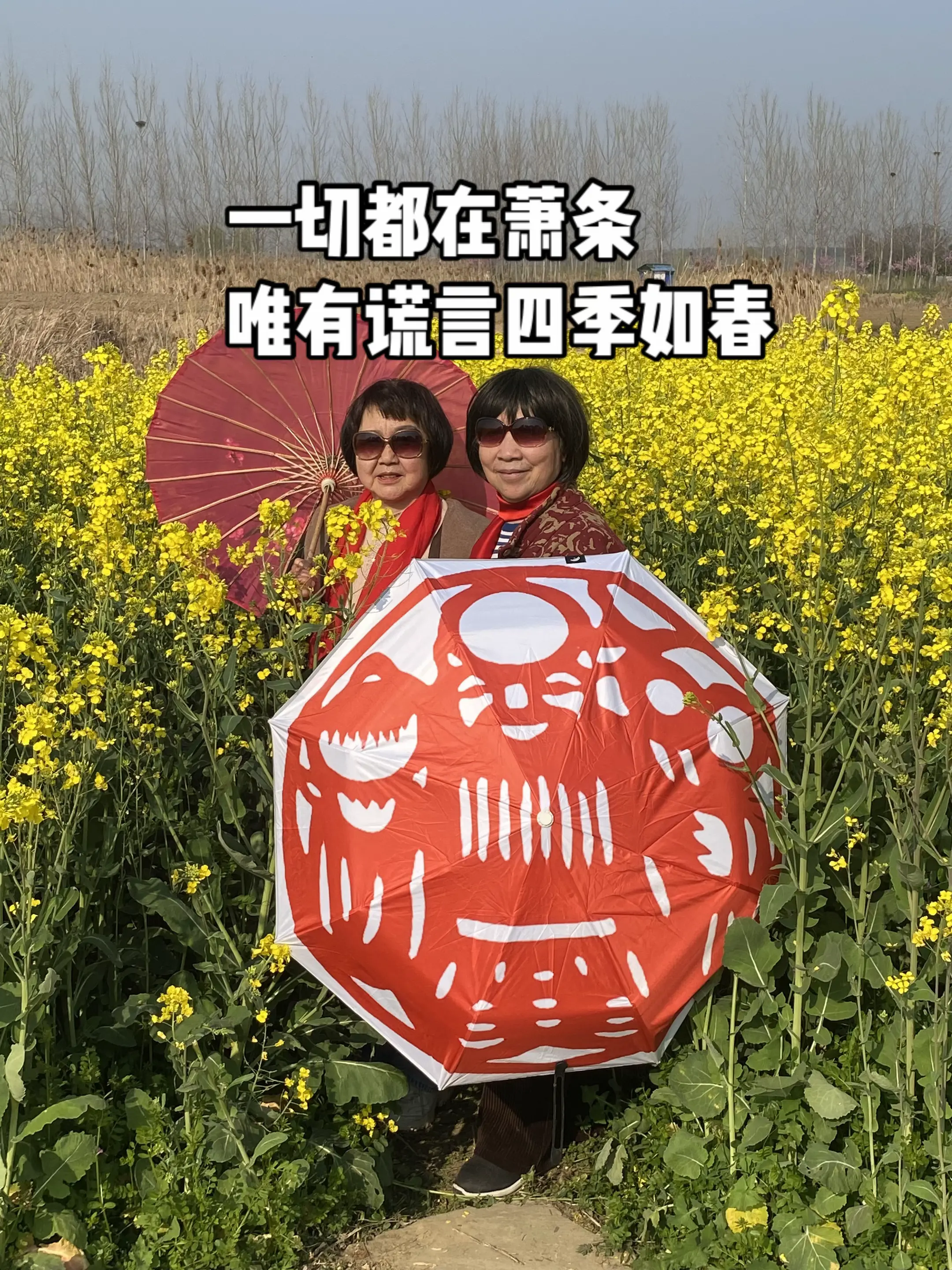 实用主义的铁盒里，开不出理想主义的花朵。一切都在萧条，难道不是吗？