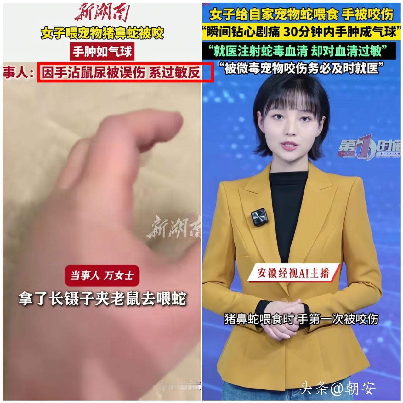 真的颠覆认知！

现在有些人养另类宠物也太不负责任了！

江苏有女生养了猪鼻蛇，